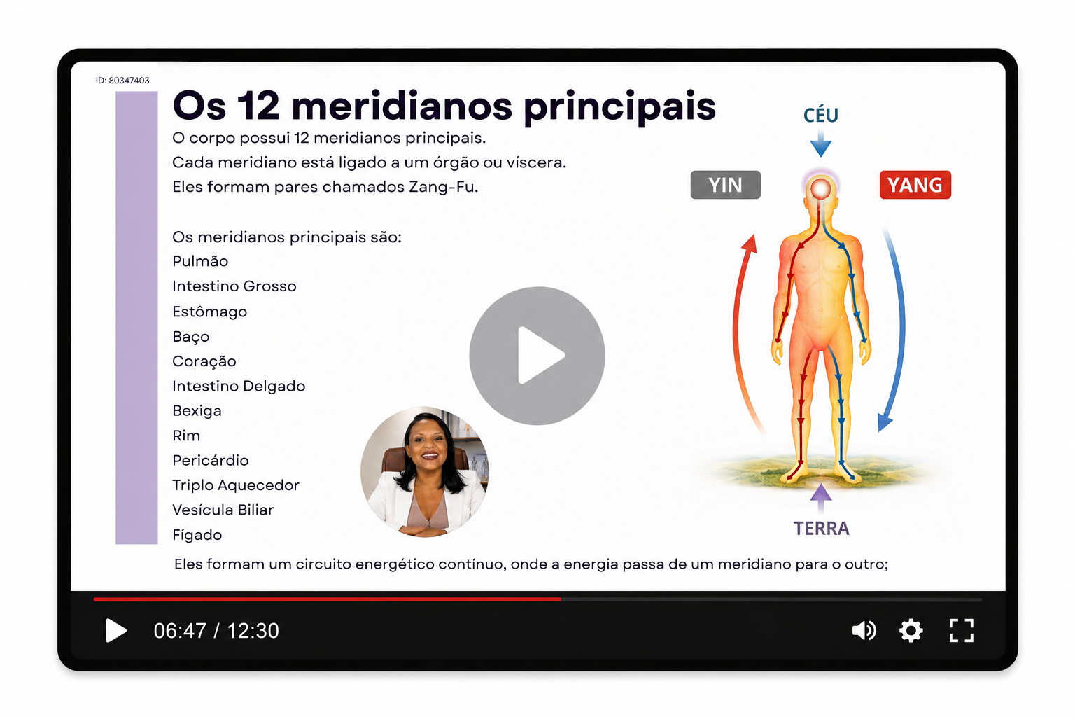 Aula: Os 12 meridianos principais