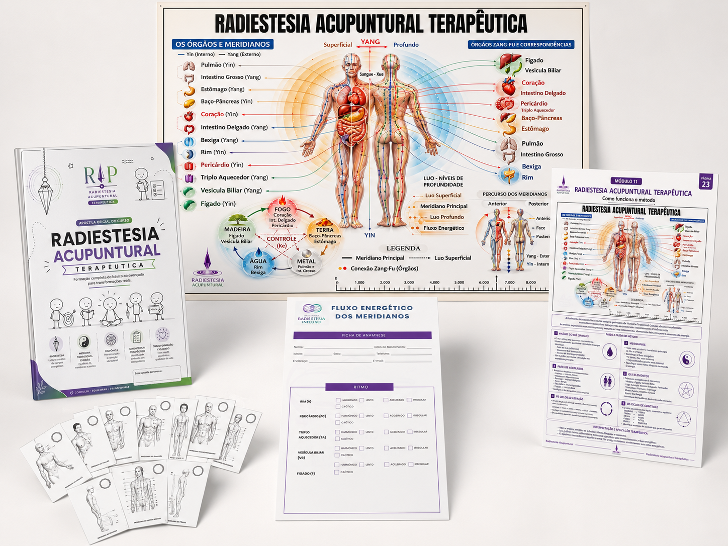Material completo do curso — apostila, gráficos, fichas e materiais para impressão
